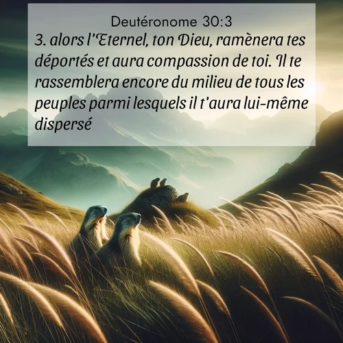 Segond21 Deutéronome  ; image nature: image avec le verset biblique :alors l&#039;Eternel, ton Dieu, ramènera tes déportés et aura compassion de toi. Il te rassemblera encore du milieu de tous les peuples parmi lesquels il t&#039;aura lui-même dispersé. ;  ; 30:3