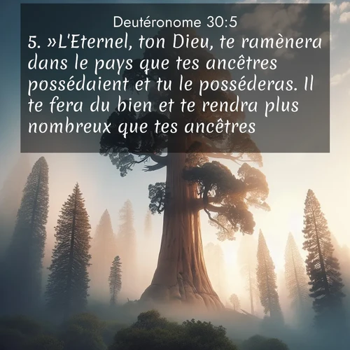 Segond21 Deutéronome  ; image nature: image avec le verset biblique :»L&#039;Eternel, ton Dieu, te ramènera dans le pays que tes ancêtres possédaient et tu le posséderas. Il te fera du bien et te rendra plus nombreux que tes ancêtres. ;  ; 30:5