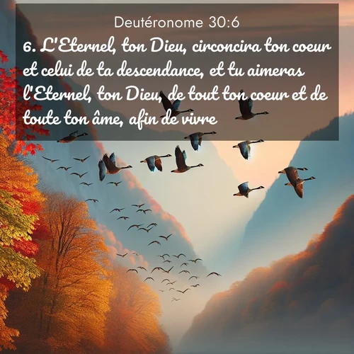 Segond21 Deutéronome  ; image nature: image avec le verset biblique :L&#039;Eternel, ton Dieu, circoncira ton coeur et celui de ta descendance, et tu aimeras l&#039;Eternel, ton Dieu, de tout ton coeur et de toute ton âme, afin de vivre. ;  ; 30:6