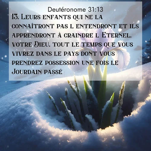 Segond21 Deutéronome  ; image nature: image avec le verset biblique :Leurs enfants qui ne la connaîtront pas l&#039;entendront et ils apprendront à craindre l&#039;Eternel, votre Dieu, tout le temps que vous vivrez dans le pays dont vous prendrez possession une fois le Jourdain passé.» ;  ; 31:13