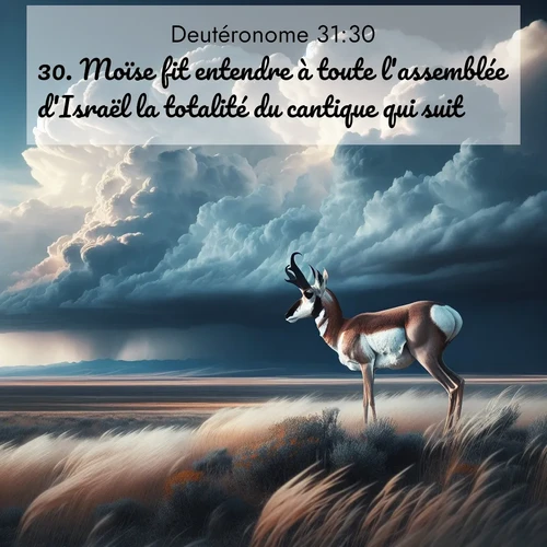 Segond21 Deutéronome  ; image nature: image avec le verset biblique :Moïse fit entendre à toute l&#039;assemblée d&#039;Israël la totalité du cantique qui suit. ;  ; 31:30