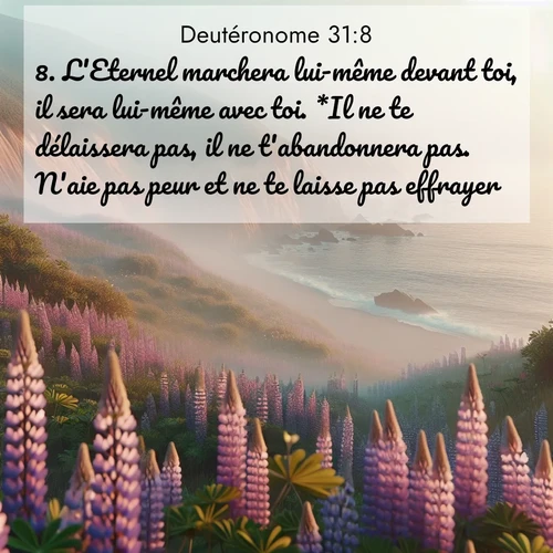 Segond21 Deutéronome  ; image nature: image avec le verset biblique :L&#039;Eternel marchera lui-même devant toi, il sera lui-même avec toi. *Il ne te délaissera pas, il ne t&#039;abandonnera pas. N&#039;aie pas peur et ne te laisse pas effrayer.» ;  ; 31:8