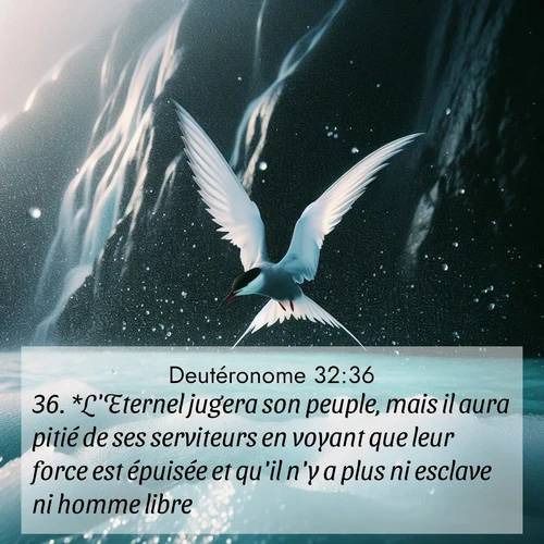 Segond21 Deutéronome  ; image nature: image avec le verset biblique :*L&#039;Eternel jugera son peuple, mais il aura pitié de ses serviteurs en voyant que leur force est épuisée et qu&#039;il n&#039;y a plus ni esclave ni homme libre. ;  ; 32:36