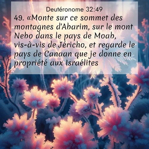 Segond21 Deutéronome  ; image nature: image avec le verset biblique :«Monte sur ce sommet des montagnes d&#039;Abarim, sur le mont Nebo dans le pays de Moab, vis-à-vis de Jéricho, et regarde le pays de Canaan que je donne en propriété aux Israélites. ;  ; 32:49
