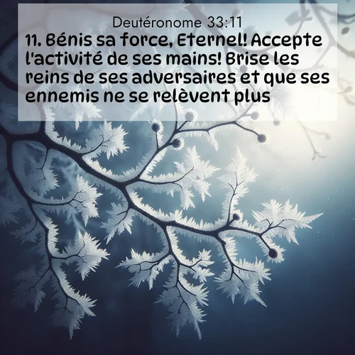 Segond21 Deutéronome  ; image nature: image avec le verset biblique :Bénis sa force, Eternel! Accepte l&#039;activité de ses mains! Brise les reins de ses adversaires et que ses ennemis ne se relèvent plus!» ;  ; 33:11