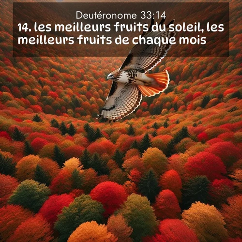 Segond21 Deutéronome  ; image nature: image avec le verset biblique :les meilleurs fruits du soleil, les meilleurs fruits de chaque mois, ;  ; 33:14
