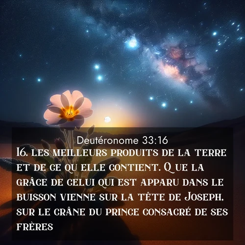 Segond21 Deutéronome  ; image nature: image avec le verset biblique :les meilleurs produits de la terre et de ce qu&#039;elle contient. Que la grâce de celui qui est apparu dans le buisson vienne sur la tête de Joseph, sur le crâne du prince consacré de ses frères! ;  ; 33:16
