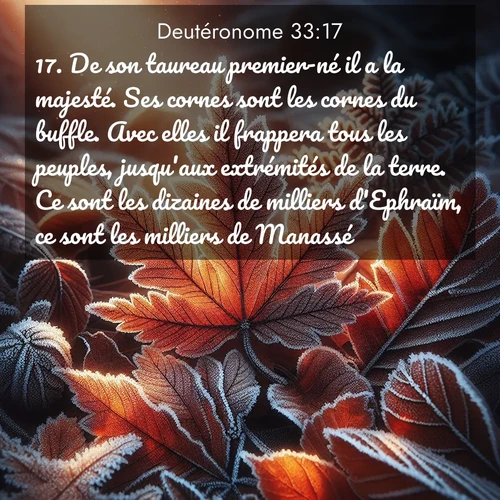 Segond21 Deutéronome  ; image nature: image avec le verset biblique :De son taureau premier-né il a la majesté. Ses cornes sont les cornes du buffle. Avec elles il frappera tous les peuples, jusqu&#039;aux extrémités de la terre. Ce sont les dizaines de milliers d&#039;Ephraïm, ce sont les milliers de Manassé.» ;  ; 33:17