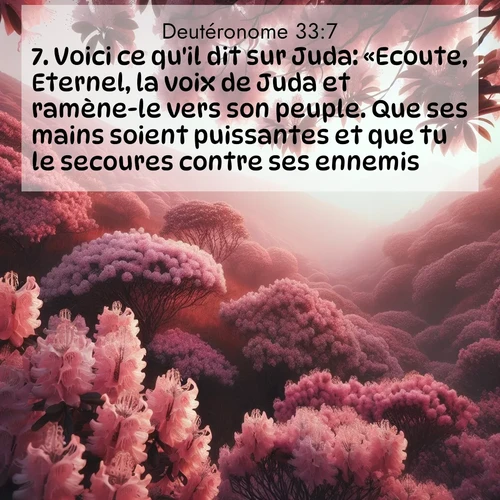 Segond21 Deutéronome  ; image nature: image avec le verset biblique :Voici ce qu&#039;il dit sur Juda: «Ecoute, Eternel, la voix de Juda et ramène-le vers son peuple. Que ses mains soient puissantes et que tu le secoures contre ses ennemis!» ;  ; 33:7