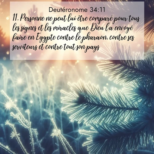 image nature avec verset biblique de la Bible