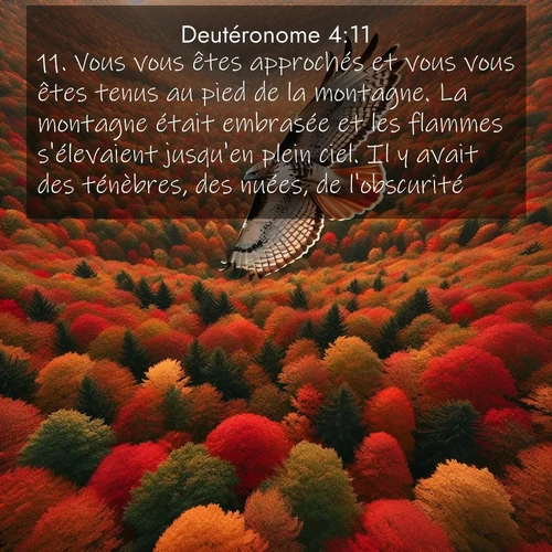 Segond21 Deutéronome  ; image nature: image avec le verset biblique :Vous vous êtes approchés et vous vous êtes tenus au pied de la montagne. La montagne était embrasée et les flammes s&#039;élevaient jusqu&#039;en plein ciel. Il y avait des ténèbres, des nuées, de l&#039;obscurité. ;  ; 4:11