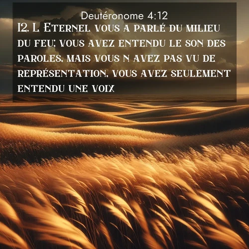 Segond21 Deutéronome  ; image nature: image avec le verset biblique :L&#039;Eternel vous a parlé du milieu du feu; vous avez entendu le son des paroles, mais vous n&#039;avez pas vu de représentation, vous avez seulement entendu une voix. ;  ; 4:12