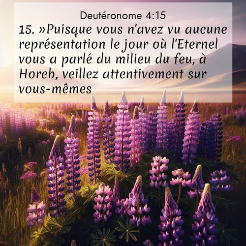 Segond21 Deutéronome  ; image nature: image avec le verset biblique :»Puisque vous n&#039;avez vu aucune représentation le jour où l&#039;Eternel vous a parlé du milieu du feu, à Horeb, veillez attentivement sur vous-mêmes: ;  ; 4:15