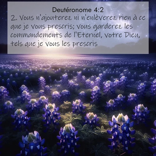 Segond21 Deutéronome  ; image nature: image avec le verset biblique :Vous n&#039;ajouterez ni n&#039;enlèverez rien à ce que je vous prescris; vous garderez les commandements de l&#039;Eternel, votre Dieu, tels que je vous les prescris. ;  ; 4:2