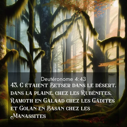 Segond21 Deutéronome  ; image nature: image avec le verset biblique :C&#039;étaient Betser dans le désert, dans la plaine, chez les Rubénites, Ramoth en Galaad chez les Gadites et Golan en Basan chez les Manassites. ;  ; 4:43