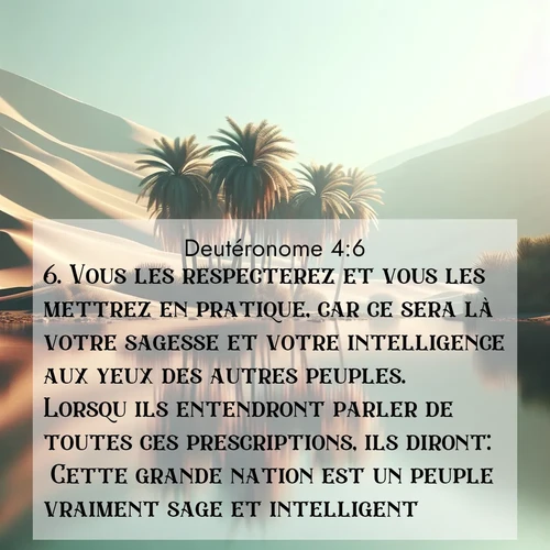 Segond21 Deutéronome  ; image nature: image avec le verset biblique :Vous les respecterez et vous les mettrez en pratique, car ce sera là votre sagesse et votre intelligence aux yeux des autres peuples. Lorsqu&#039;ils entendront parler de toutes ces prescriptions, ils diront: &#039;Cette grande nation est un peuple vraiment sage et intelligent!&#039; ;  ; 4:6