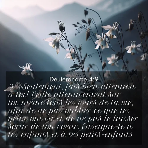 Segond21 Deutéronome  ; image nature: image avec le verset biblique :»Seulement, fais bien attention à toi! Veille attentivement sur toi-même tous les jours de ta vie, afin de ne pas oublier ce que tes yeux ont vu et de ne pas le laisser sortir de ton coeur. Enseigne-le à tes enfants et à tes petits-enfants. ;  ; 4:9