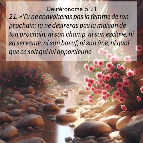 Segond21 Deutéronome  ; image nature: image avec le verset biblique :»Tu ne convoiteras pas la femme de ton prochain; tu ne désireras pas la maison de ton prochain, ni son champ, ni son esclave, ni sa servante, ni son boeuf, ni son âne, ni quoi que ce soit qui lui appartienne.&#039; ;  ; 5:21