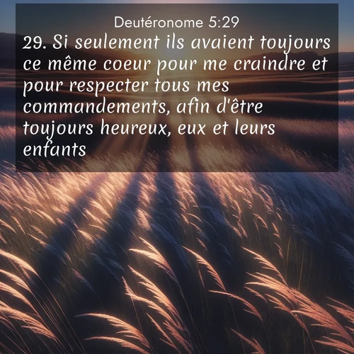 Segond21 Deutéronome  ; image nature: image avec le verset biblique :Si seulement ils avaient toujours ce même coeur pour me craindre et pour respecter tous mes commandements, afin d&#039;être toujours heureux, eux et leurs enfants! ;  ; 5:29
