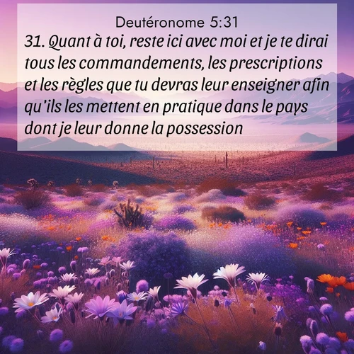 Segond21 Deutéronome  ; image nature: image avec le verset biblique :Quant à toi, reste ici avec moi et je te dirai tous les commandements, les prescriptions et les règles que tu devras leur enseigner afin qu&#039;ils les mettent en pratique dans le pays dont je leur donne la possession. ;  ; 5:31
