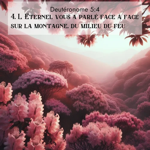 Segond21 Deutéronome  ; image nature: image avec le verset biblique :L&#039;Eternel vous a parlé face à face sur la montagne, du milieu du feu. ;  ; 5:4
