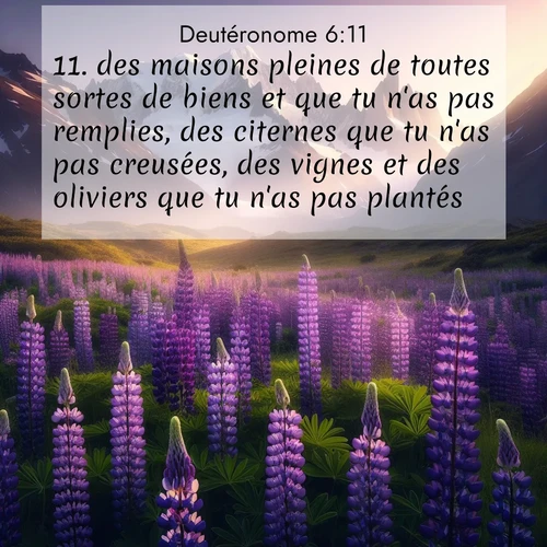 Segond21 Deutéronome  ; image nature: image avec le verset biblique :des maisons pleines de toutes sortes de biens et que tu n&#039;as pas remplies, des citernes que tu n&#039;as pas creusées, des vignes et des oliviers que tu n&#039;as pas plantés. ;  ; 6:11