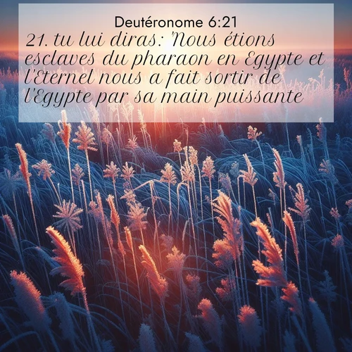 Segond21 Deutéronome  ; image nature: image avec le verset biblique :tu lui diras: &#039;Nous étions esclaves du pharaon en Egypte et l&#039;Eternel nous a fait sortir de l&#039;Egypte par sa main puissante. ;  ; 6:21