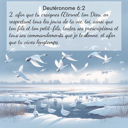 Segond21 Deutéronome  ; image nature: image avec le verset biblique :afin que tu craignes l&#039;Eternel, ton Dieu, en respectant tous les jours de ta vie, toi, ainsi que ton fils et ton petit-fils, toutes ses prescriptions et tous ses commandements que je te donne, et afin que tu vives longtemps. ;  ; 6:2