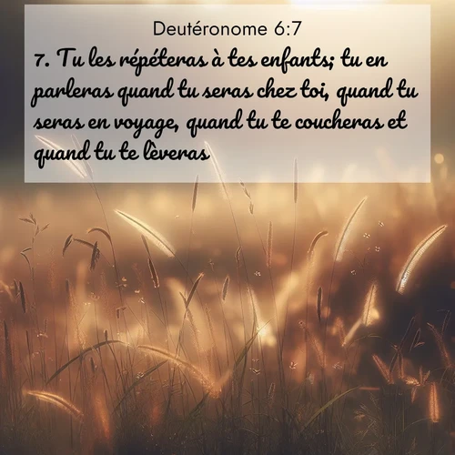Segond21 Deutéronome  ; image nature: image avec le verset biblique :Tu les répéteras à tes enfants; tu en parleras quand tu seras chez toi, quand tu seras en voyage, quand tu te coucheras et quand tu te lèveras. ;  ; 6:7
