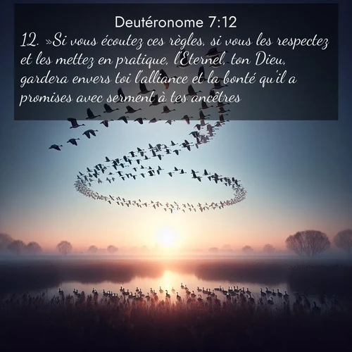 Segond21 Deutéronome  ; image nature: image avec le verset biblique :»Si vous écoutez ces règles, si vous les respectez et les mettez en pratique, l&#039;Eternel, ton Dieu, gardera envers toi l&#039;alliance et la bonté qu&#039;il a promises avec serment à tes ancêtres. ;  ; 7:12
