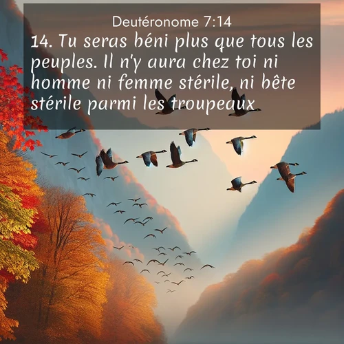 Segond21 Deutéronome  ; image nature: image avec le verset biblique :Tu seras béni plus que tous les peuples. Il n&#039;y aura chez toi ni homme ni femme stérile, ni bête stérile parmi les troupeaux. ;  ; 7:14