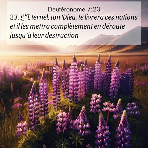 Segond21 Deutéronome  ; image nature: image avec le verset biblique :L&#039;Eternel, ton Dieu, te livrera ces nations et il les mettra complètement en déroute jusqu&#039;à leur destruction. ;  ; 7:23