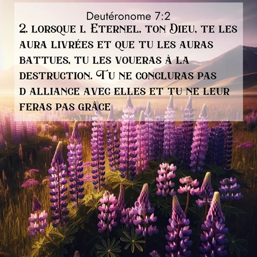 Segond21 Deutéronome  ; image nature: image avec le verset biblique :lorsque l&#039;Eternel, ton Dieu, te les aura livrées et que tu les auras battues, tu les voueras à la destruction. Tu ne concluras pas d&#039;alliance avec elles et tu ne leur feras pas grâce. ;  ; 7:2