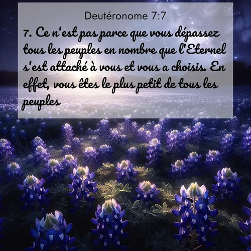 Segond21 Deutéronome  ; image nature: image avec le verset biblique :Ce n&#039;est pas parce que vous dépassez tous les peuples en nombre que l&#039;Eternel s&#039;est attaché à vous et vous a choisis. En effet, vous êtes le plus petit de tous les peuples. ;  ; 7:7