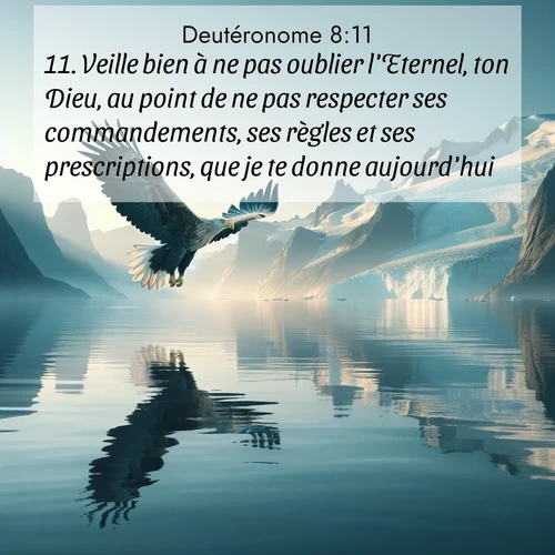 Segond21 Deutéronome  ; image nature: image avec le verset biblique :Veille bien à ne pas oublier l&#039;Eternel, ton Dieu, au point de ne pas respecter ses commandements, ses règles et ses prescriptions, que je te donne aujourd&#039;hui. ;  ; 8:11