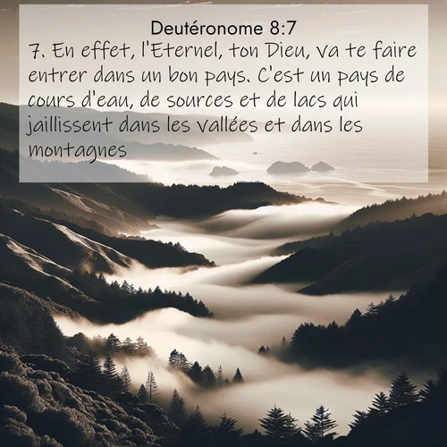 Segond21 Deutéronome  ; image nature: image avec le verset biblique :En effet, l&#039;Eternel, ton Dieu, va te faire entrer dans un bon pays. C&#039;est un pays de cours d&#039;eau, de sources et de lacs qui jaillissent dans les vallées et dans les montagnes; ;  ; 8:7