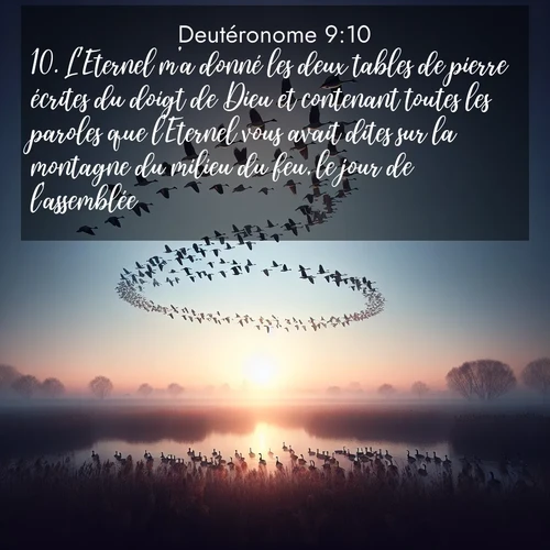 Segond21 Deutéronome  ; image nature: image avec le verset biblique :L&#039;Eternel m&#039;a donné les deux tables de pierre écrites du doigt de Dieu et contenant toutes les paroles que l&#039;Eternel vous avait dites sur la montagne du milieu du feu, le jour de l&#039;assemblée. ;  ; 9:10