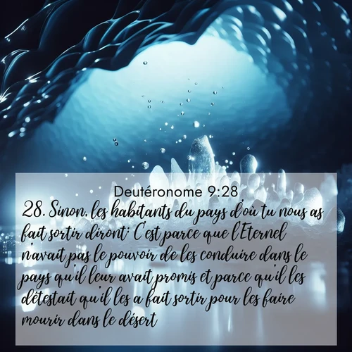 Segond21 Deutéronome  ; image nature: image avec le verset biblique :Sinon, les habitants du pays d&#039;où tu nous as fait sortir diront: C&#039;est parce que l&#039;Eternel n&#039;avait pas le pouvoir de les conduire dans le pays qu&#039;il leur avait promis et parce qu&#039;il les détestait qu&#039;il les a fait sortir pour les faire mourir dans le désert. ;  ; 9:28