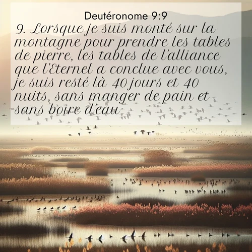Segond21 Deutéronome  ; image nature: image avec le verset biblique :Lorsque je suis monté sur la montagne pour prendre les tables de pierre, les tables de l&#039;alliance que l&#039;Eternel a conclue avec vous, je suis resté là 40 jours et 40 nuits, sans manger de pain et sans boire d&#039;eau. ;  ; 9:9