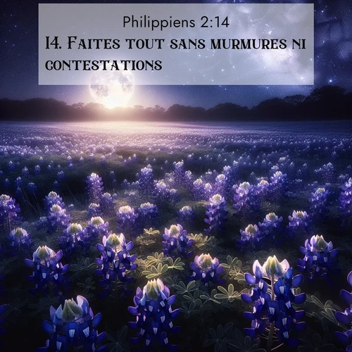 Segond21 Philippiens  ; image nature: image avec le verset biblique :Faites tout sans murmures ni contestations ;  ; 2:14