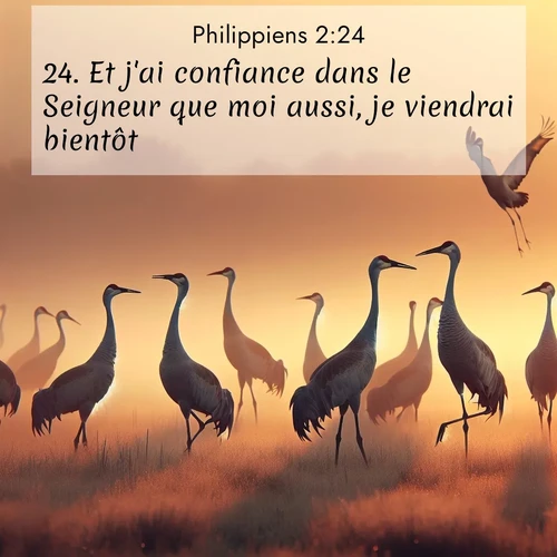 Segond21 Philippiens  ; image nature: image avec le verset biblique :Et j&#039;ai confiance dans le Seigneur que moi aussi, je viendrai bientôt. ;  ; 2:24