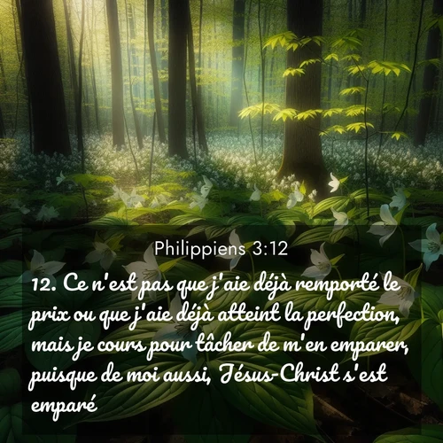 Segond21 Philippiens  ; image nature: image avec le verset biblique :Ce n&#039;est pas que j&#039;aie déjà remporté le prix ou que j&#039;aie déjà atteint la perfection, mais je cours pour tâcher de m&#039;en emparer, puisque de moi aussi, Jésus-Christ s&#039;est emparé. ;  ; 3:12
