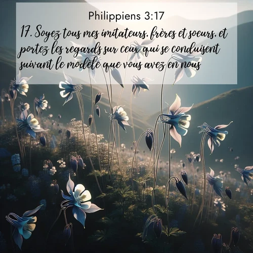 Segond21 Philippiens  ; image nature: image avec le verset biblique :Soyez tous mes imitateurs, frères et soeurs, et portez les regards sur ceux qui se conduisent suivant le modèle que vous avez en nous. ;  ; 3:17