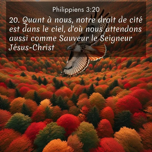 Segond21 Philippiens  ; image nature: image avec le verset biblique :Quant à nous, notre droit de cité est dans le ciel, d&#039;où nous attendons aussi comme Sauveur le Seigneur Jésus-Christ. ;  ; 3:20