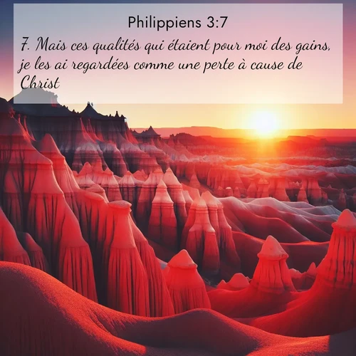 Segond21 Philippiens  ; image nature: image avec le verset biblique :Mais ces qualités qui étaient pour moi des gains, je les ai regardées comme une perte à cause de Christ. ;  ; 3:7