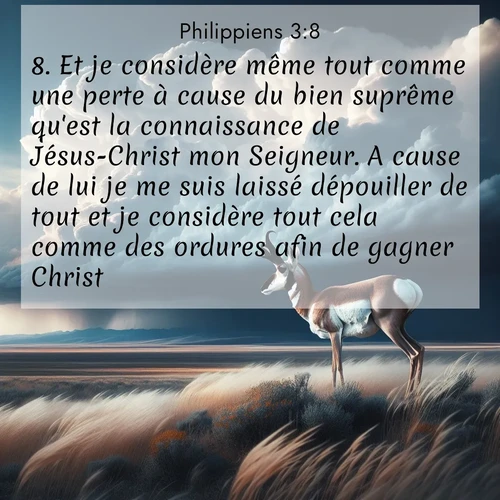 Segond21 Philippiens  ; image nature: image avec le verset biblique :Et je considère même tout comme une perte à cause du bien suprême qu&#039;est la connaissance de Jésus-Christ mon Seigneur. A cause de lui je me suis laissé dépouiller de tout et je considère tout cela comme des ordures afin de gagner Christ ;  ; 3:8