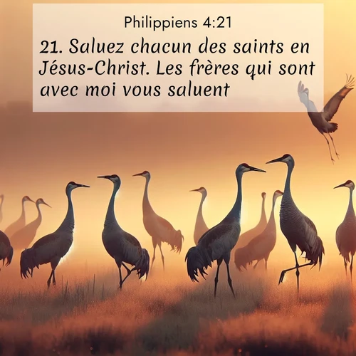Segond21 Philippiens  ; image nature: image avec le verset biblique :Saluez chacun des saints en Jésus-Christ. Les frères qui sont avec moi vous saluent. ;  ; 4:21