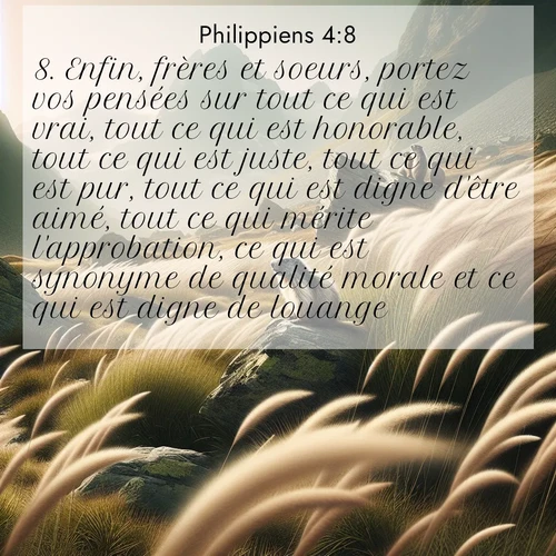 Segond21 Philippiens  ; image nature: image avec le verset biblique :Enfin, frères et soeurs, portez vos pensées sur tout ce qui est vrai, tout ce qui est honorable, tout ce qui est juste, tout ce qui est pur, tout ce qui est digne d&#039;être aimé, tout ce qui mérite l&#039;approbation, ce qui est synonyme de qualité morale et ce qui est digne de louange. ;  ; 4:8