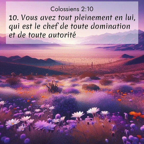 Segond21 Colossiens  ; image nature: image avec le verset biblique :Vous avez tout pleinement en lui, qui est le chef de toute domination et de toute autorité. ;  ; 2:10