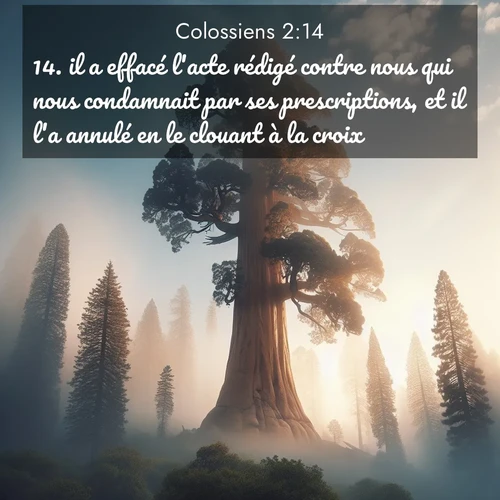 Segond21 Colossiens  ; image nature: image avec le verset biblique :il a effacé l&#039;acte rédigé contre nous qui nous condamnait par ses prescriptions, et il l&#039;a annulé en le clouant à la croix. ;  ; 2:14